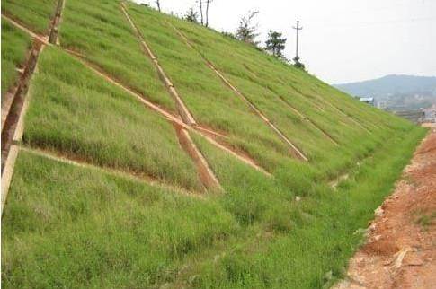 三維土工網(wǎng)墊http://m.napyz.cn/