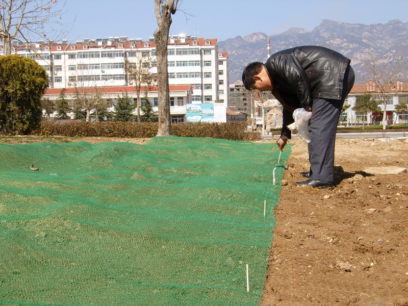 三維植物網(wǎng)http://m.napyz.cn/